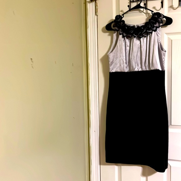 Tiana B. Dresses & Skirts - Tiana B. Sleeveless dress for women with a zipper on the back. Size 10